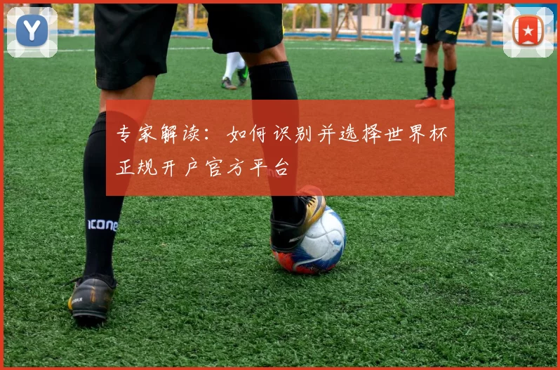 专家解读:如何识别并选择世界杯正规开户官方平台
