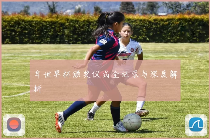 年世界杯颁奖仪式全记录与深度解析