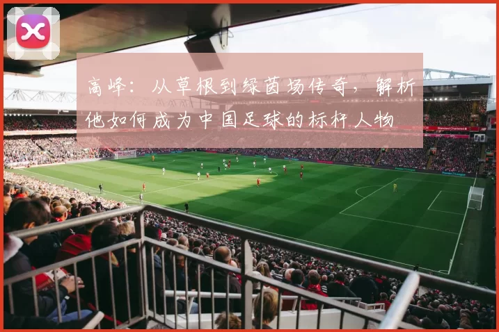 高峰：从草根到绿茵场传奇，解析他如何成为中国足球的标杆人物