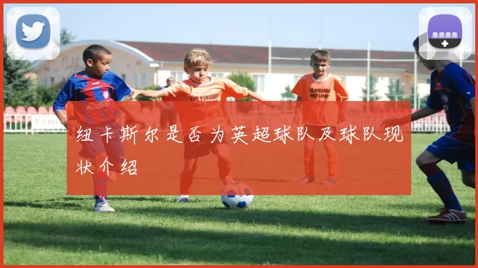 纽卡斯尔是否为英超球队及球队现状介绍