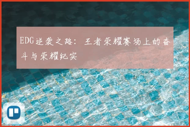 EDG逆袭之路：王者荣耀赛场上的奋斗与荣耀纪实