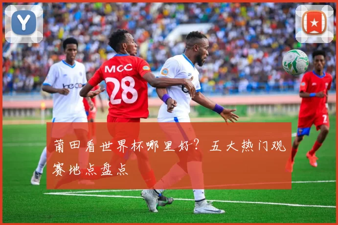 莆田看世界杯哪里好？五大热门观赛地点盘点