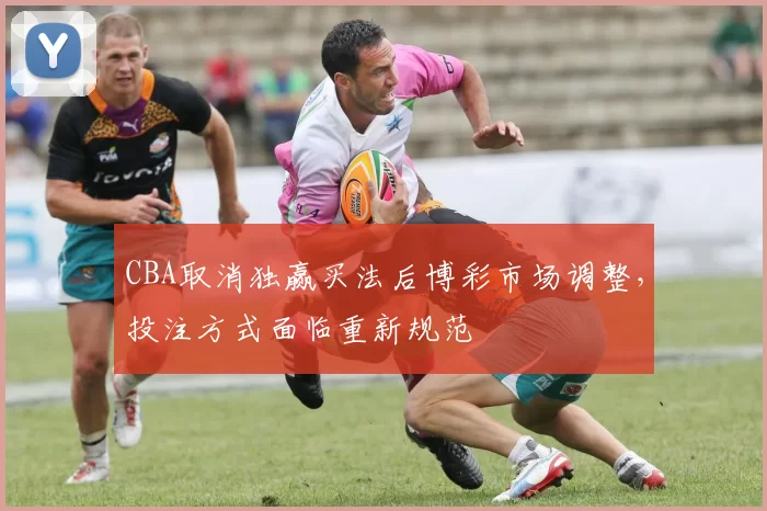 CBA取消独赢买法后博彩市场调整，投注方式面临重新规范