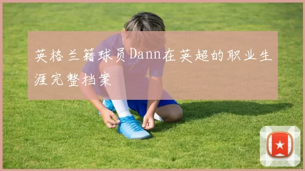英格兰籍球员Dann在英超的职业生涯完整档案