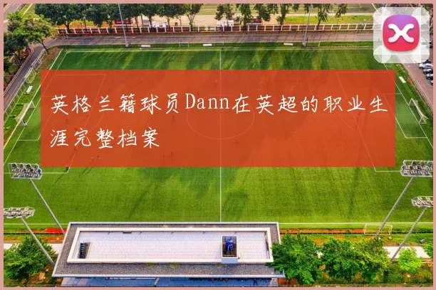 英格兰籍球员Dann在英超的职业生涯完整档案