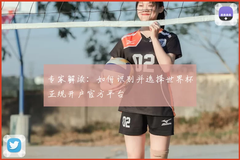 专家解读:如何识别并选择世界杯正规开户官方平台