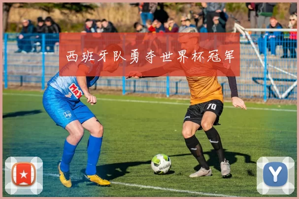 西班牙队勇夺世界杯冠军
