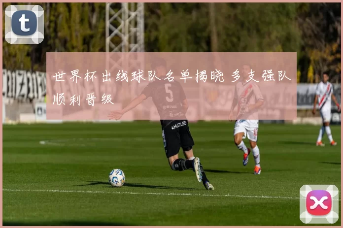 世界杯出线球队名单揭晓 多支强队顺利晋级