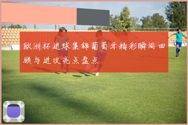 欧洲杯进球集锦葡萄牙精彩瞬间回顾与进攻亮点盘点