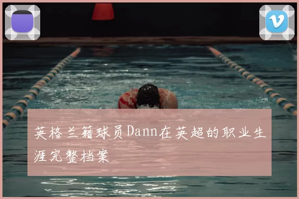 英格兰籍球员Dann在英超的职业生涯完整档案