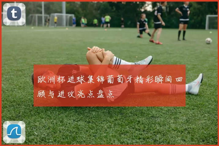 欧洲杯进球集锦葡萄牙精彩瞬间回顾与进攻亮点盘点