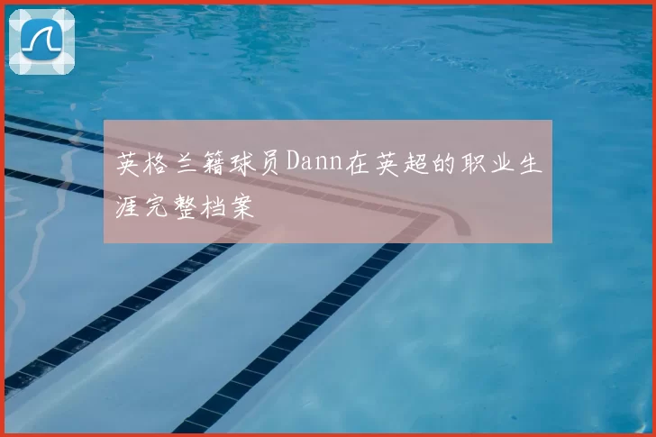 英格兰籍球员Dann在英超的职业生涯完整档案