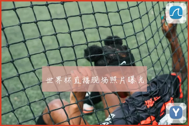 世界杯直播现场照片曝光