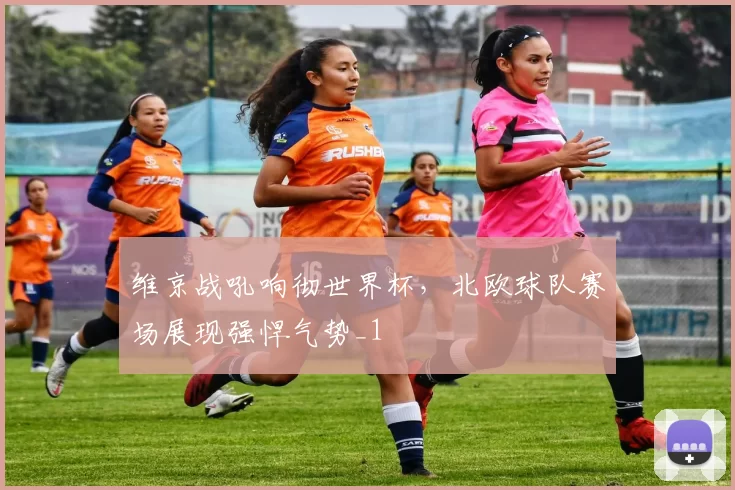 维京战吼响彻世界杯，北欧球队赛场展现强悍气势_1