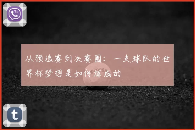 从预选赛到决赛圈：一支球队的世界杯梦想是如何炼成的