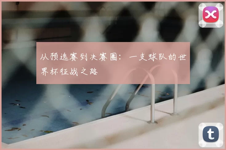 从预选赛到决赛圈：一支球队的世界杯征战之路