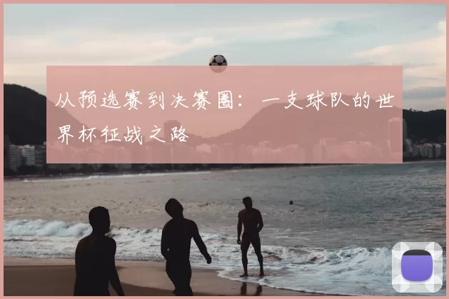 从预选赛到决赛圈：一支球队的世界杯征战之路