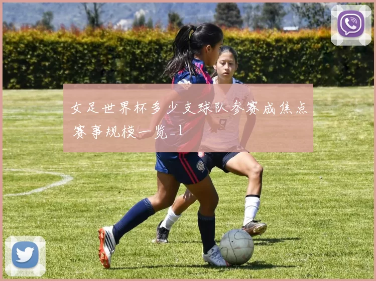女足世界杯多少支球队参赛成焦点 赛事规模一览_1