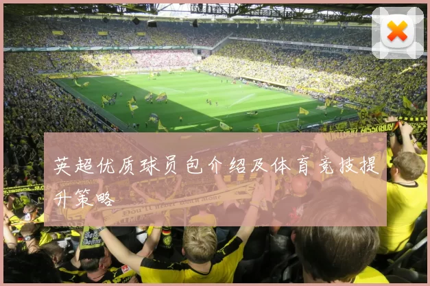 英超优质球员包介绍及体育竞技提升策略