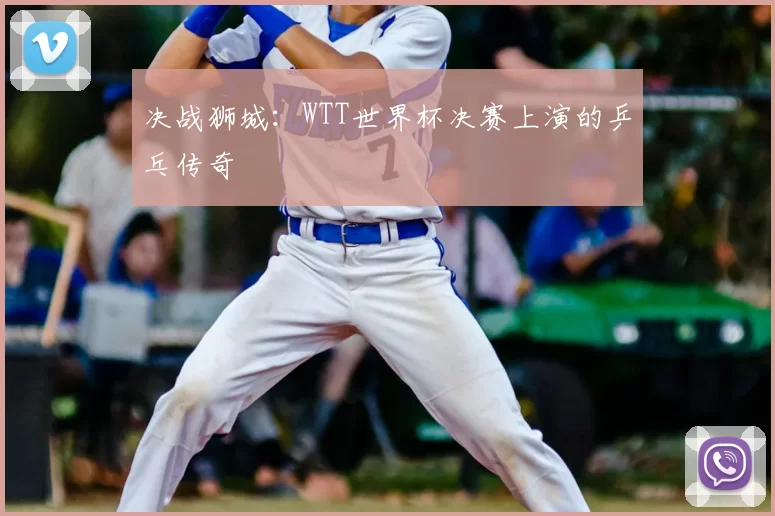 决战狮城:WTT世界杯决赛上演的乒乓传奇