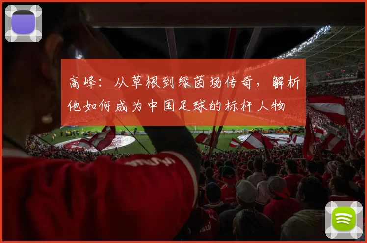 高峰：从草根到绿茵场传奇，解析他如何成为中国足球的标杆人物