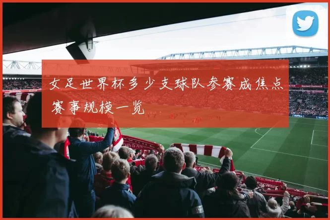 女足世界杯多少支球队参赛成焦点 赛事规模一览